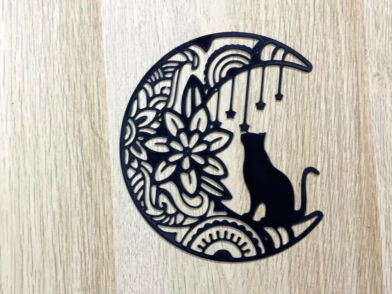 Cat on the moon