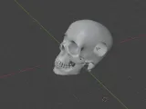 skull bead-0