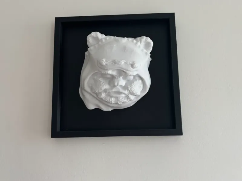 Star wars - Ewok in frame