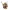 Casque doré Wylder Dawn d'Elden Ring Nightreign