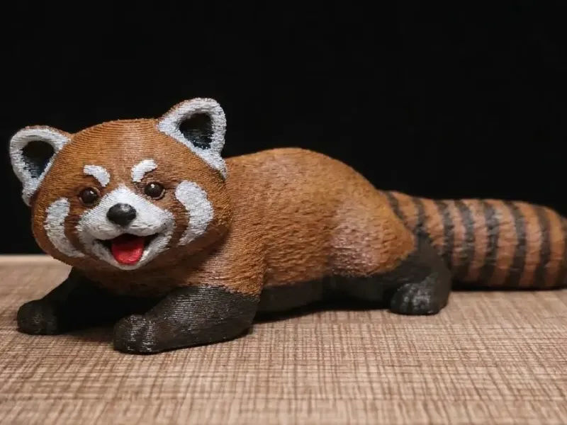 趴着的小熊猫（lying down red panda）