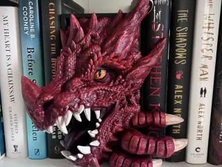 dragon book nook