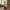 Nutcracker Doll - Christmas Decoration