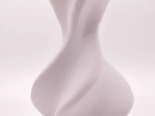 Organic Twist Vase