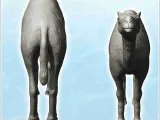 Camel (4) - miniatures animal RPG tabletop scenery figure sc-1