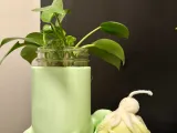 Frog Planter-1