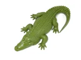 Crocodile-4