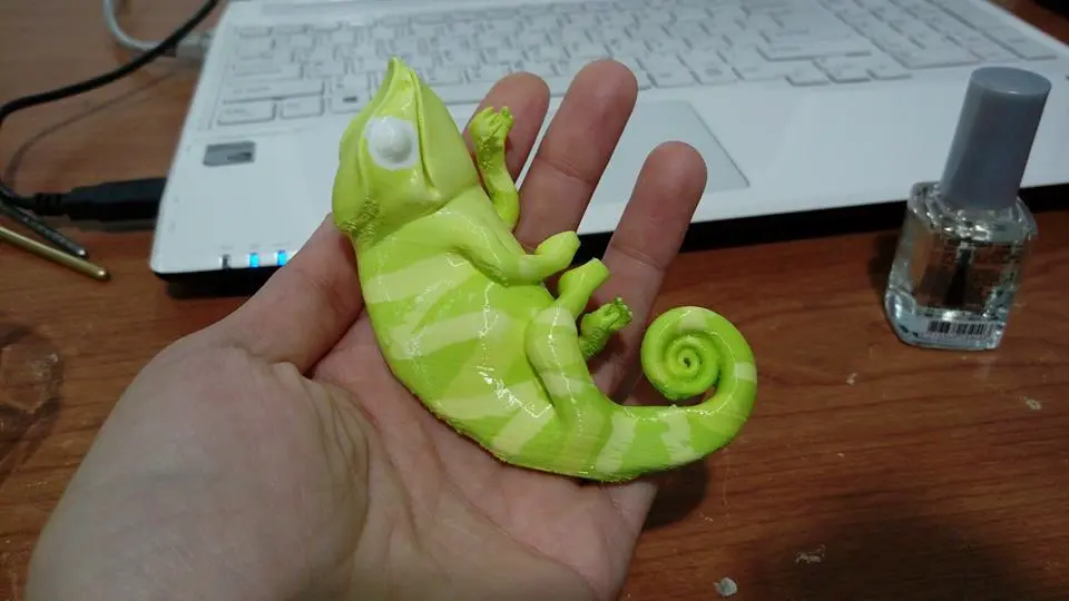 Caméléon (filament de nylon)