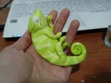 Chameleon (Nylon filament)-4