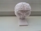 CRL_trophy_brains-3