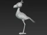 Dodo-3