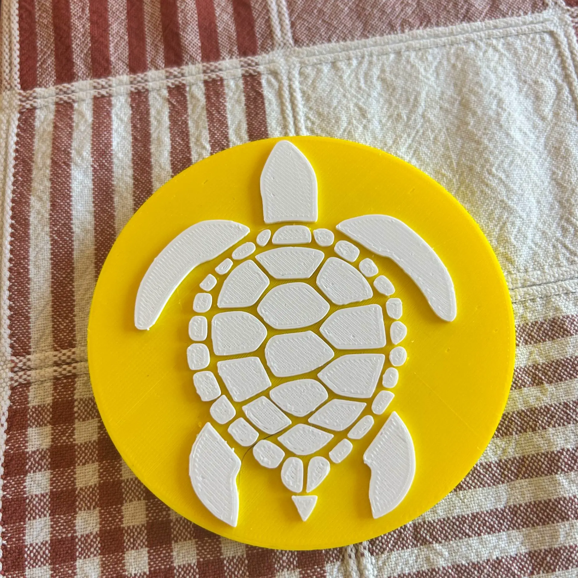Turtle Coaster