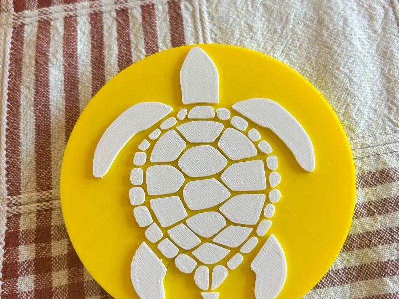 Turtle Coaster