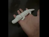 Flexi-Gator-1