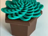 Potted Plant-1