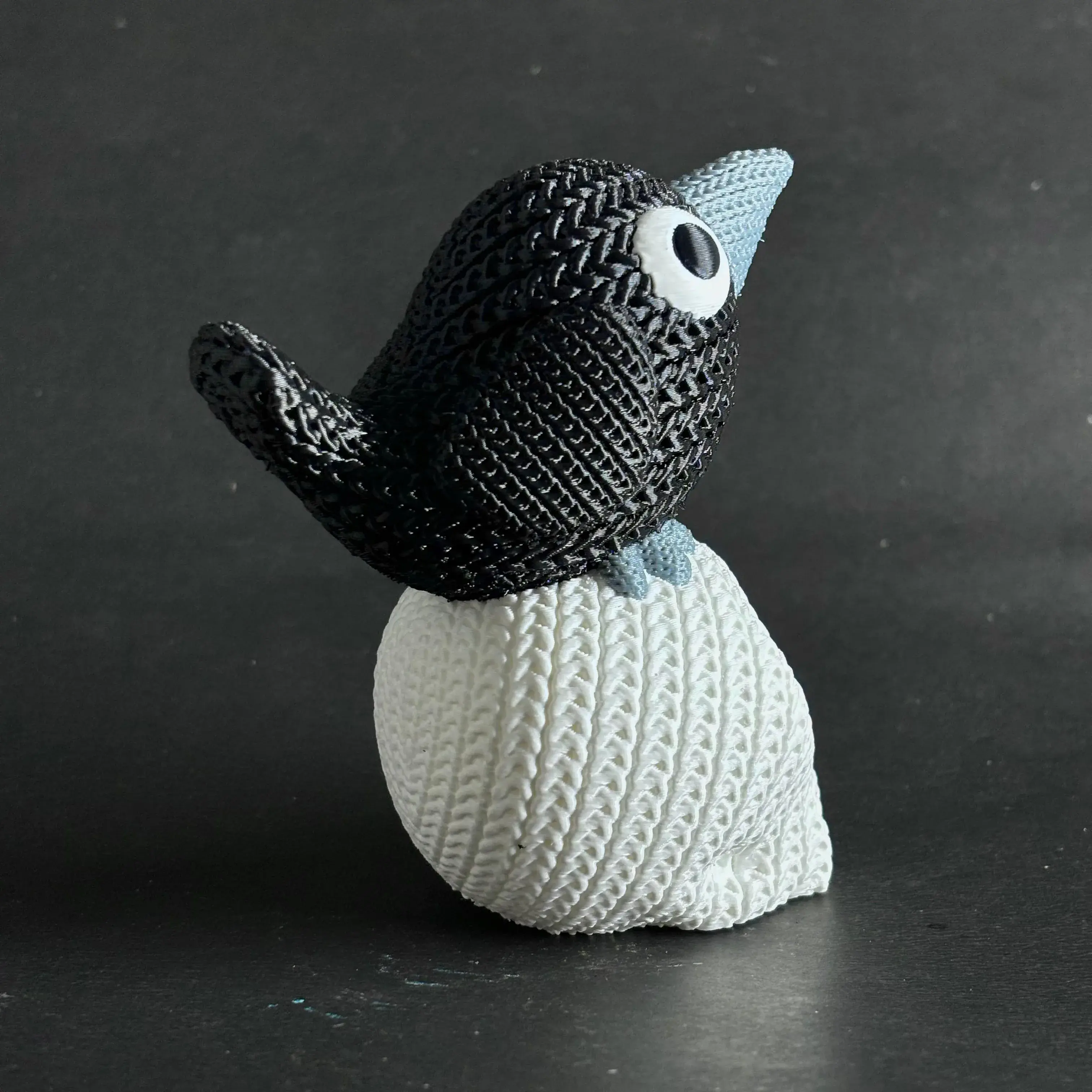 Knitted Raven On Skull