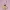 Pompompurin | Serie Portachiavi Sanrio