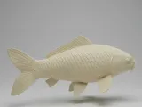 Carpa-1