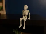 Sitting skeleton- articulated-4