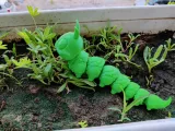 CATERPILLAR CUTE-1