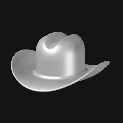 Cowboy Hat Can Cover