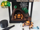 Mexican Redknee Tarantula – Tiny, Fuzzy, Poseable!-3