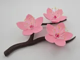 Cherry blossoms-0
