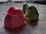 Frog Cute Couple Drinking-4