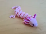 Axolotl Articolato (Multicolore)-4