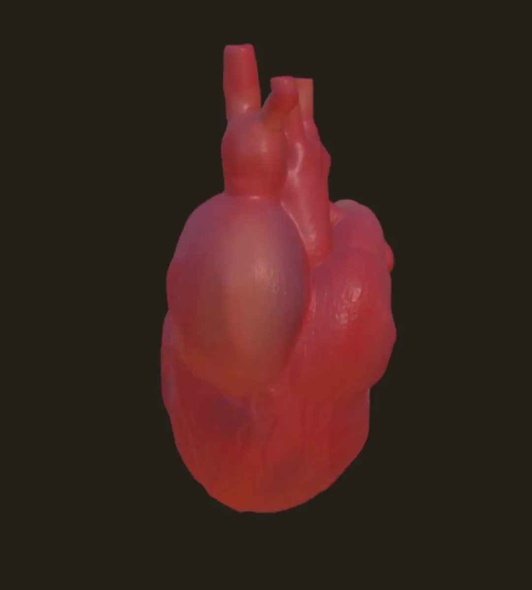 human heart ❤️