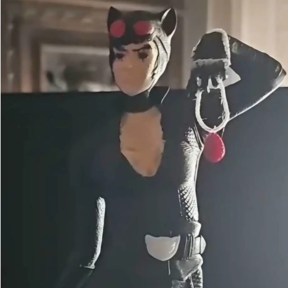 catwoman en partes, parte 2