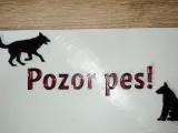 Cedule Pozor pes-0