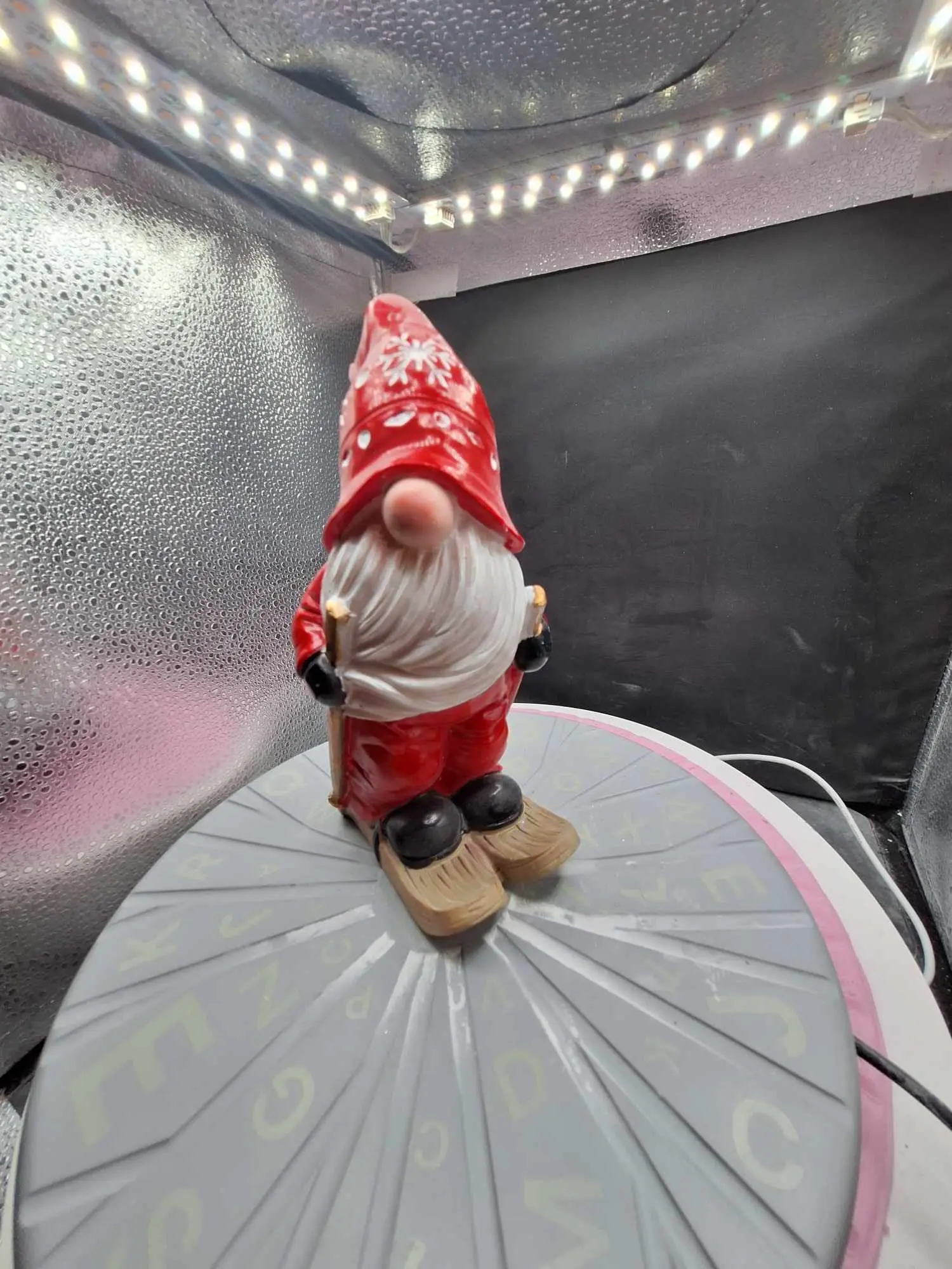gnome on skis