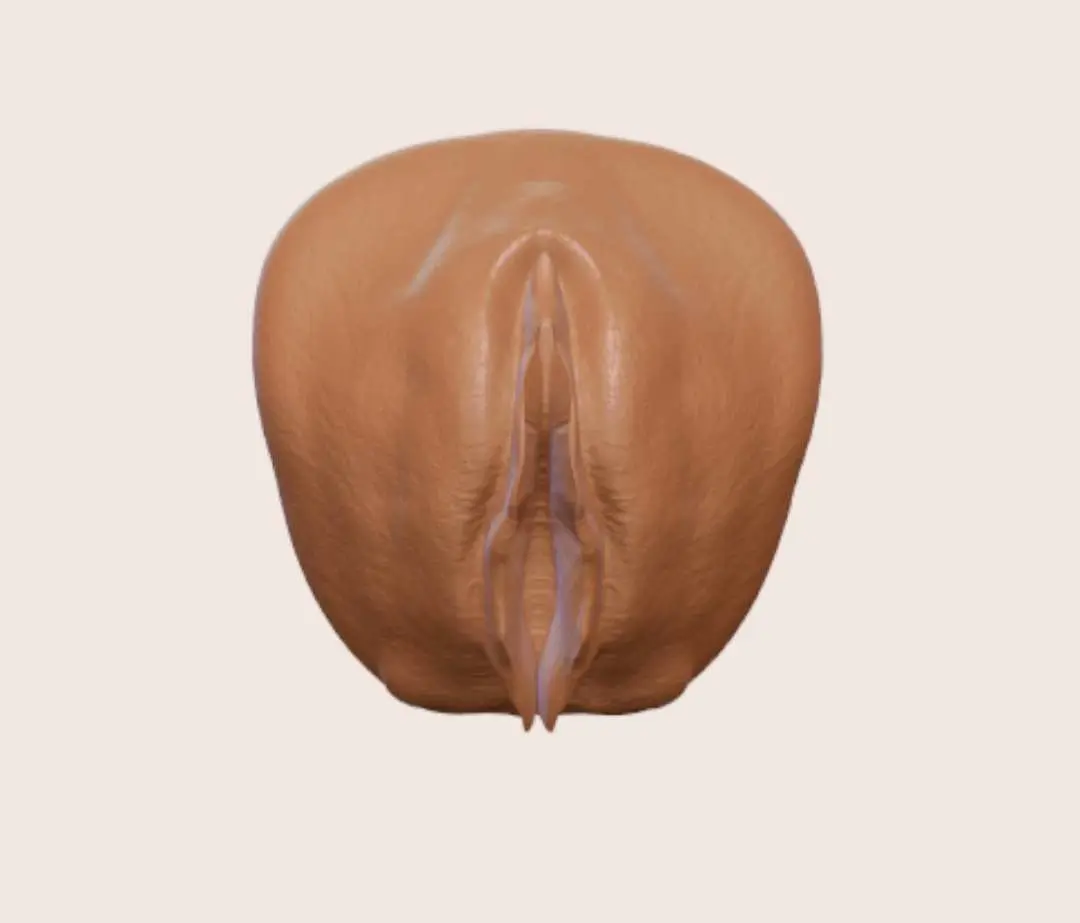 bachelor party vagina ornament 