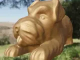 Dog lazy-1