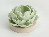 maceta de forma de lechuga-1