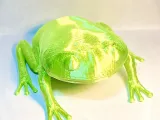 Green Tree frog-0