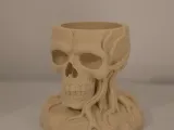 Rootbound Skull Planter-3