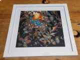 Butterflies-4