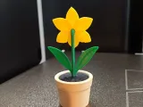 Daffodil Flower Pot-1