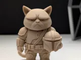 Grumpy Cat Mandalorian-0