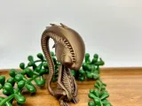 alien-2