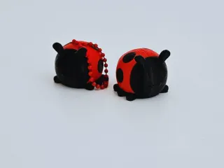 Ladybug + Keychain Version