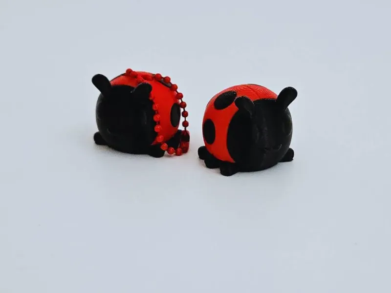 Ladybug + Keychain Version