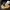 Espresso-Kaffeeverteiler 51 mm - 3D-gedrucktes Barista-Werkzeug