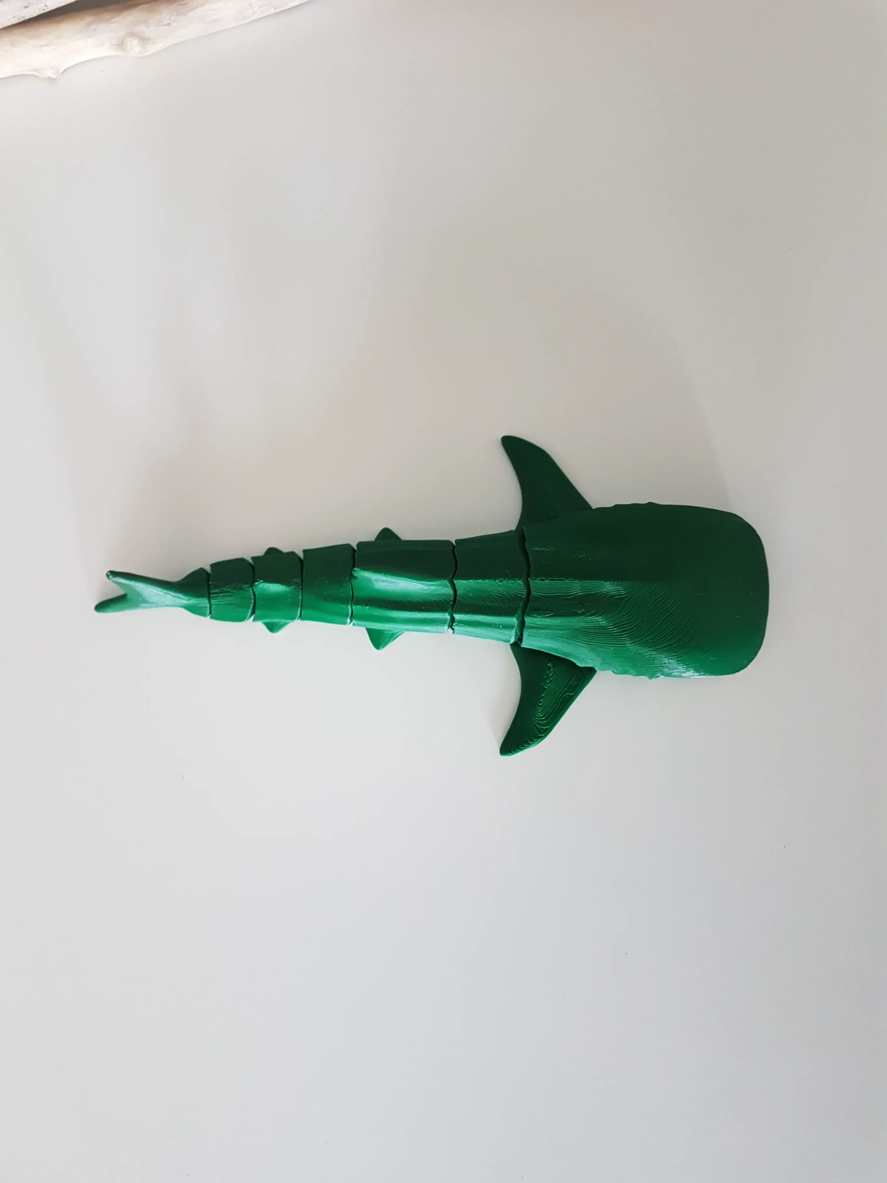 Whale Shark Flexi