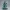 Zodiac Inspired 3D Collectibles Aquarius Male Character