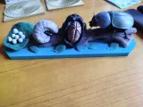 Life Cycle of a Beetle – Educational Dung Beetle Metamorphosis-4
