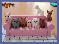 Cat Lounge