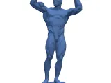 Bodybuilder Low Poly - 3D Model-7